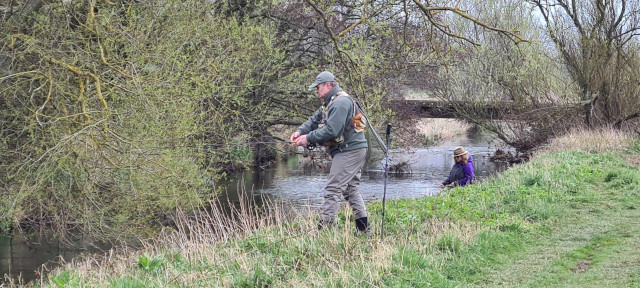 JT CT Dry Fly