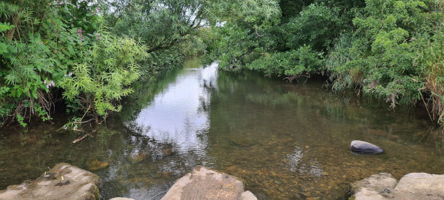 Gilling Beck August 2021 (1)