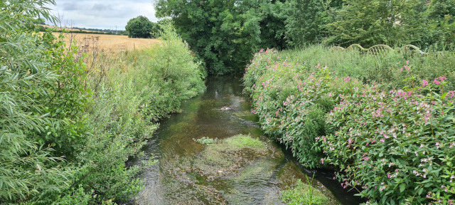 Gilling Beck August 2021 (10)