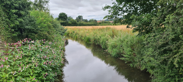 Gilling Beck August 2021 (11)
