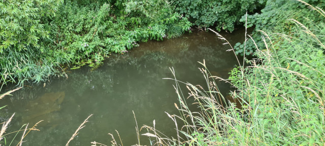 Gilling Beck August 2021 (12)