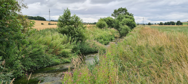 Gilling Beck August 2021 (15)