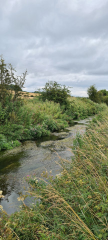 Gilling Beck August 2021 (16)