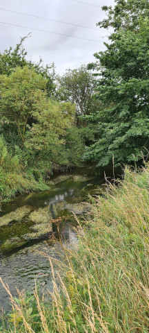 Gilling Beck August 2021 (17)