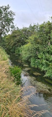 Gilling Beck August 2021 (18)