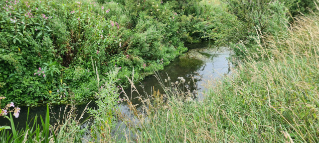 Gilling Beck August 2021 (20)