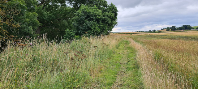 Gilling Beck August 2021 (22)