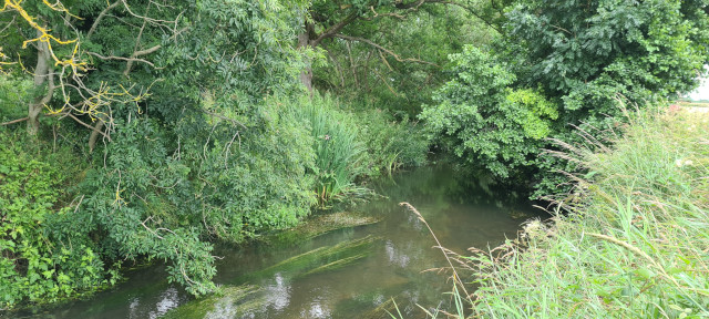 Gilling Beck August 2021 (23)