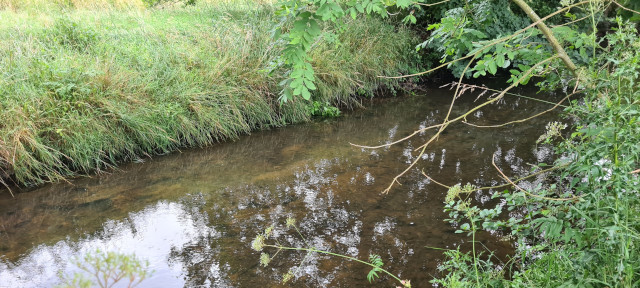 Gilling Beck August 2021 (26)