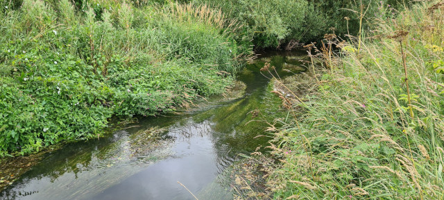 Gilling Beck August 2021 (28)