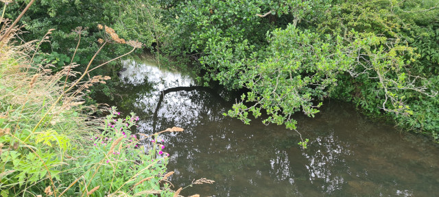 Gilling Beck August 2021 (29)