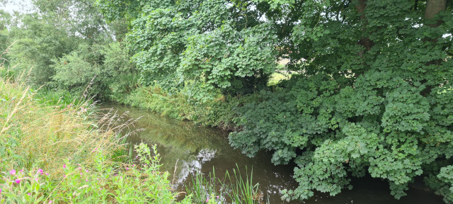 Gilling Beck August 2021 (4)