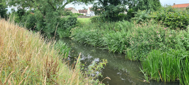 Gilling Beck August 2021 (5)
