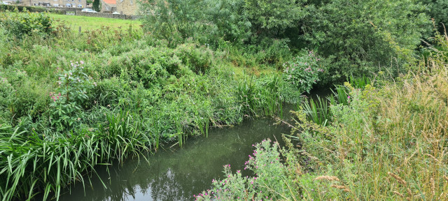 Gilling Beck August 2021 (6)