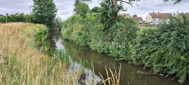 Gilling Beck August 2021 (7)