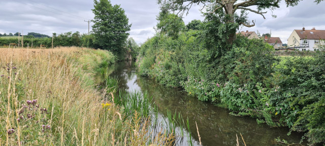 Gilling Beck August 2021 (9)