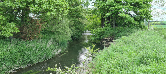 Gilling Beck June21 (12)