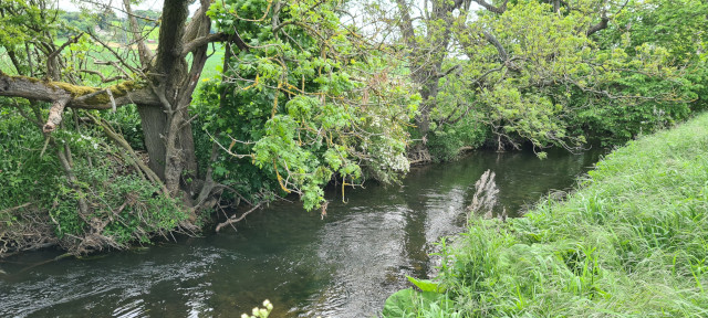 Gilling Beck June21 (14)