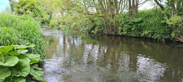 Gilling Beck June21 (18)