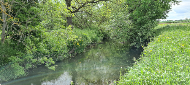 Gilling Beck June21 (20)