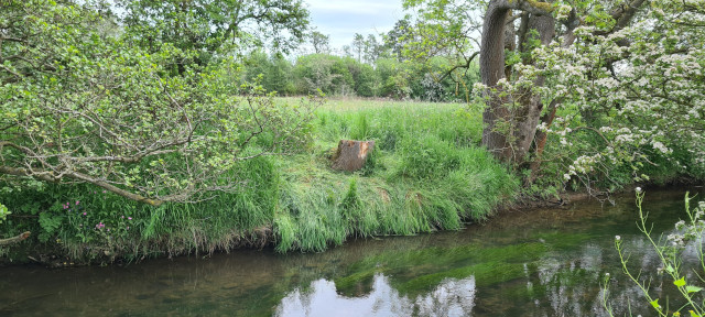 Gilling Beck June21 (24)