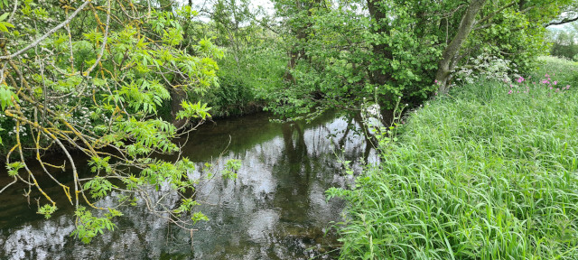 Gilling Beck June21 (25)