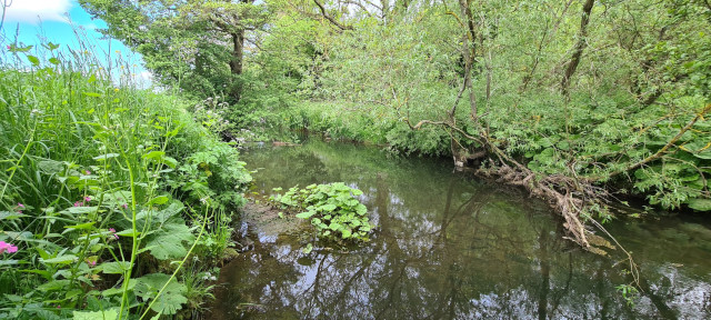 Gilling Beck June21 (28)