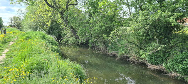 Gilling Beck June21 (3)