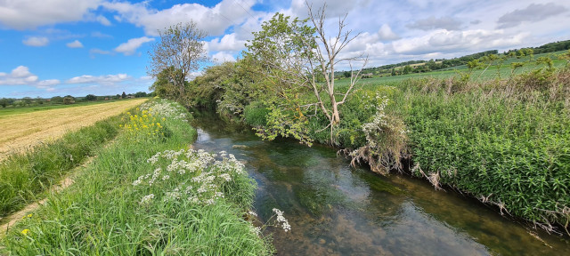 Gilling Beck June21 (30)