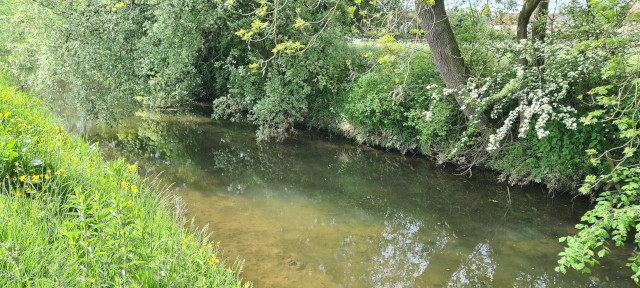 Gilling Beck June21 (4)