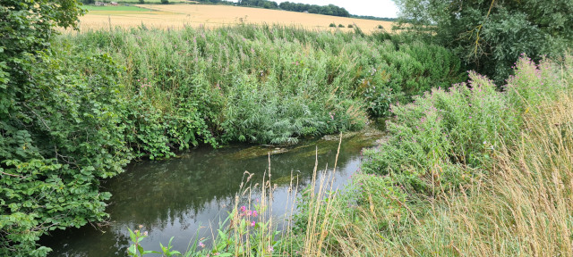Gilling Beck August 2021 (14)