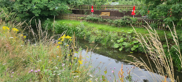 Gilling Beck August 2021 (2)