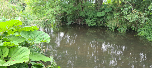 Gilling Beck August 2021 (21)