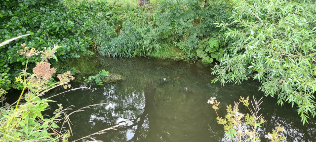 Gilling Beck August 2021 (24)