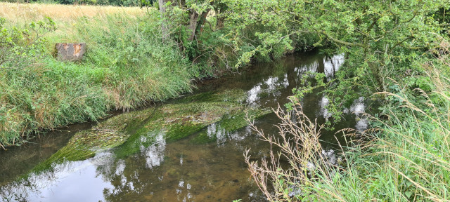 Gilling Beck August 2021 (27)