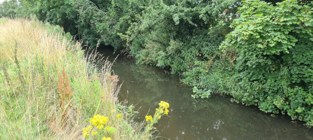 Gilling Beck August 2021 (3)