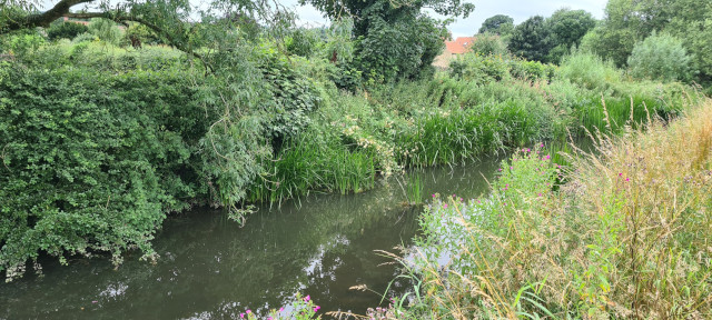 Gilling Beck August 2021 (8)
