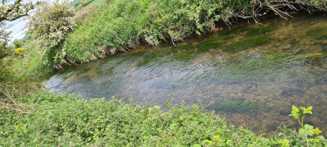 Gilling Beck June21 (1)