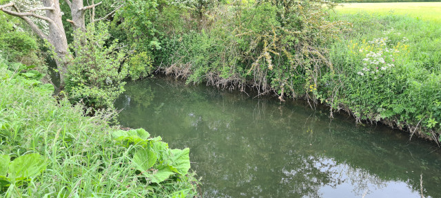 Gilling Beck June21 (10)
