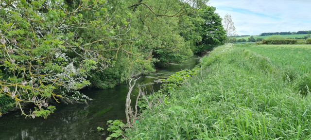 Gilling Beck June21 (11)
