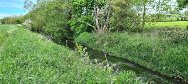 Gilling Beck June21 (13)