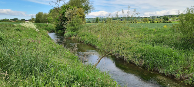 Gilling Beck June21 (15)