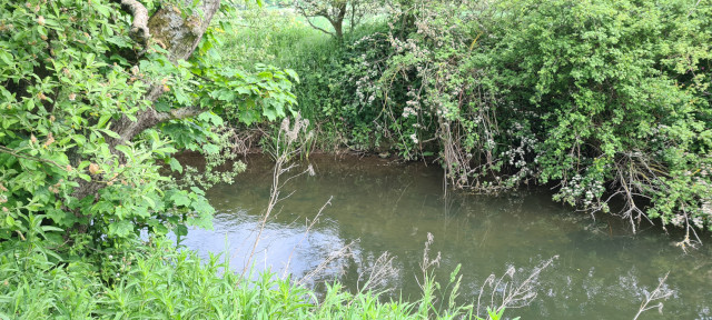 Gilling Beck June21 (17)