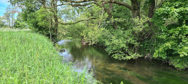 Gilling Beck June21 (19)