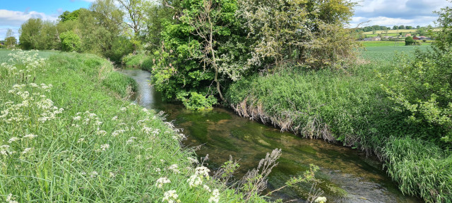 Gilling Beck June21 (2)