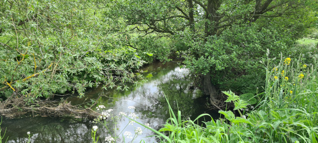 Gilling Beck June21 (21)