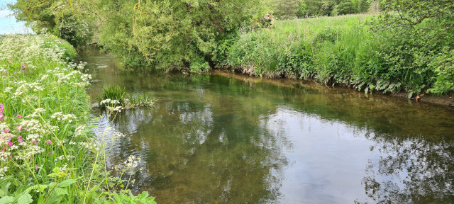 Gilling Beck June21 (26)