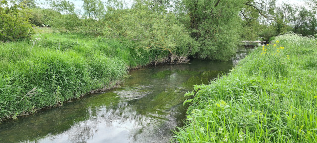 Gilling Beck June21 (27)
