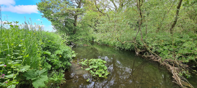 Gilling Beck June21 (29)