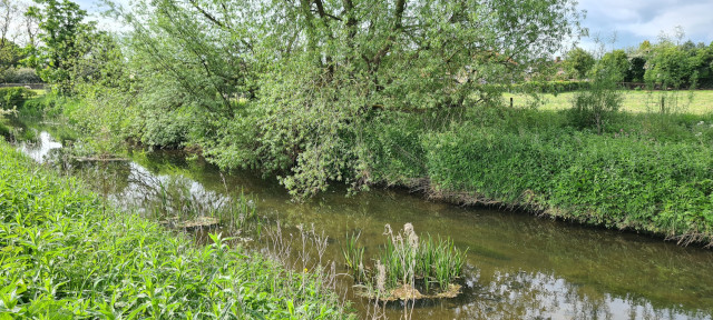 Gilling Beck June21 (5)